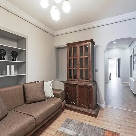 Classic Beauty Stylish And Modernized In Area Apartment Istanbul