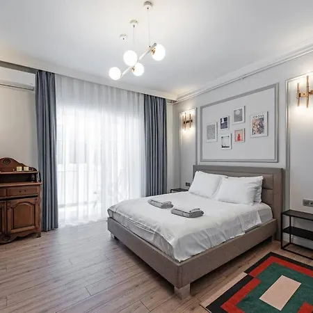 Apartment Classic Beauty Stylish And Modernized In Area