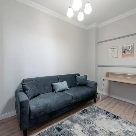 Classic Beauty Stylish And Modernized In Area Apartment Istanbul