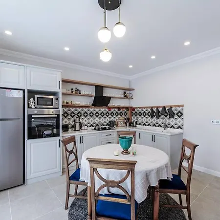 Classic Beauty Stylish And Modernized In Area Apartment Istanbul